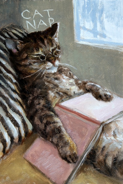 Cat Nap