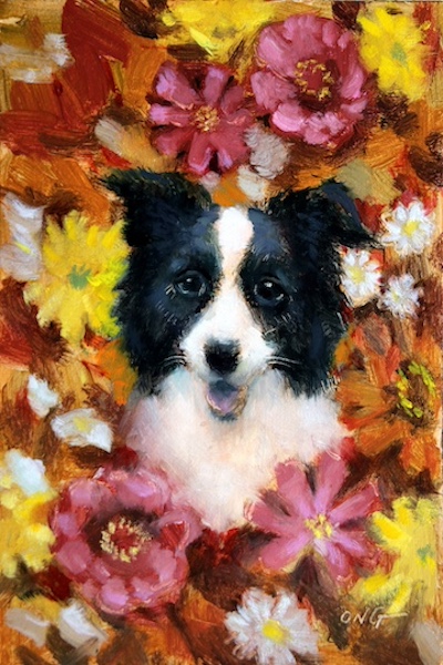 Collie Flower
